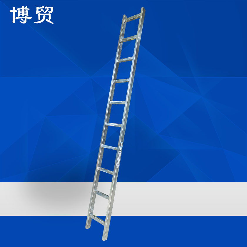欧标 不锈钢500公斤级单梯-不锈钢产品加工-尊龙凯时