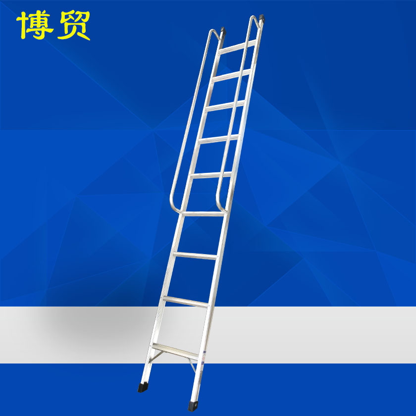 铝合金扶手单梯-定制D24-直梯/单梯（按类型）-尊龙凯时