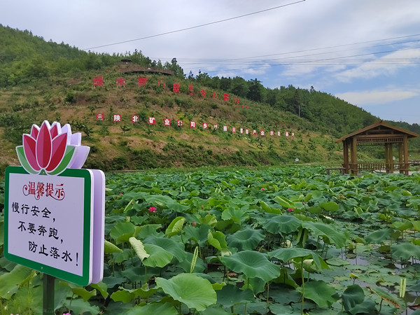 1729843601102943.jpeg 8E86BC23756932ABCA2C779B77305C99樱桃产业园.jpg